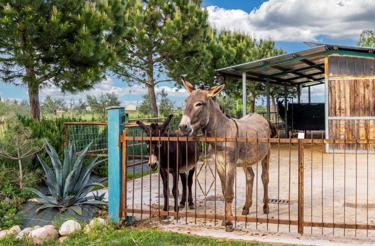Вилла Relais Ca' Maddalena Виллафранка-ди-Верона Экстерьер фото
